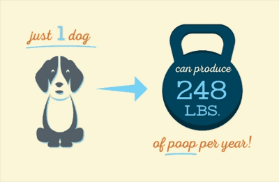 DYK pet waste 1