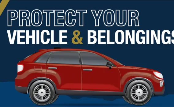 150x300px Theft from auto.png