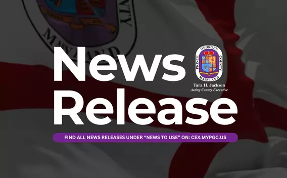 CEX News Release - Graphic Tara.png
