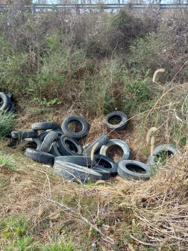 dumped tires