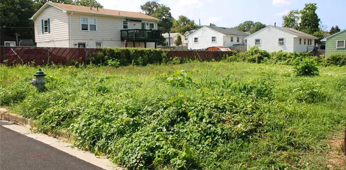 Empty lot in need of maintenance, overgrowth needs mowing and trimming