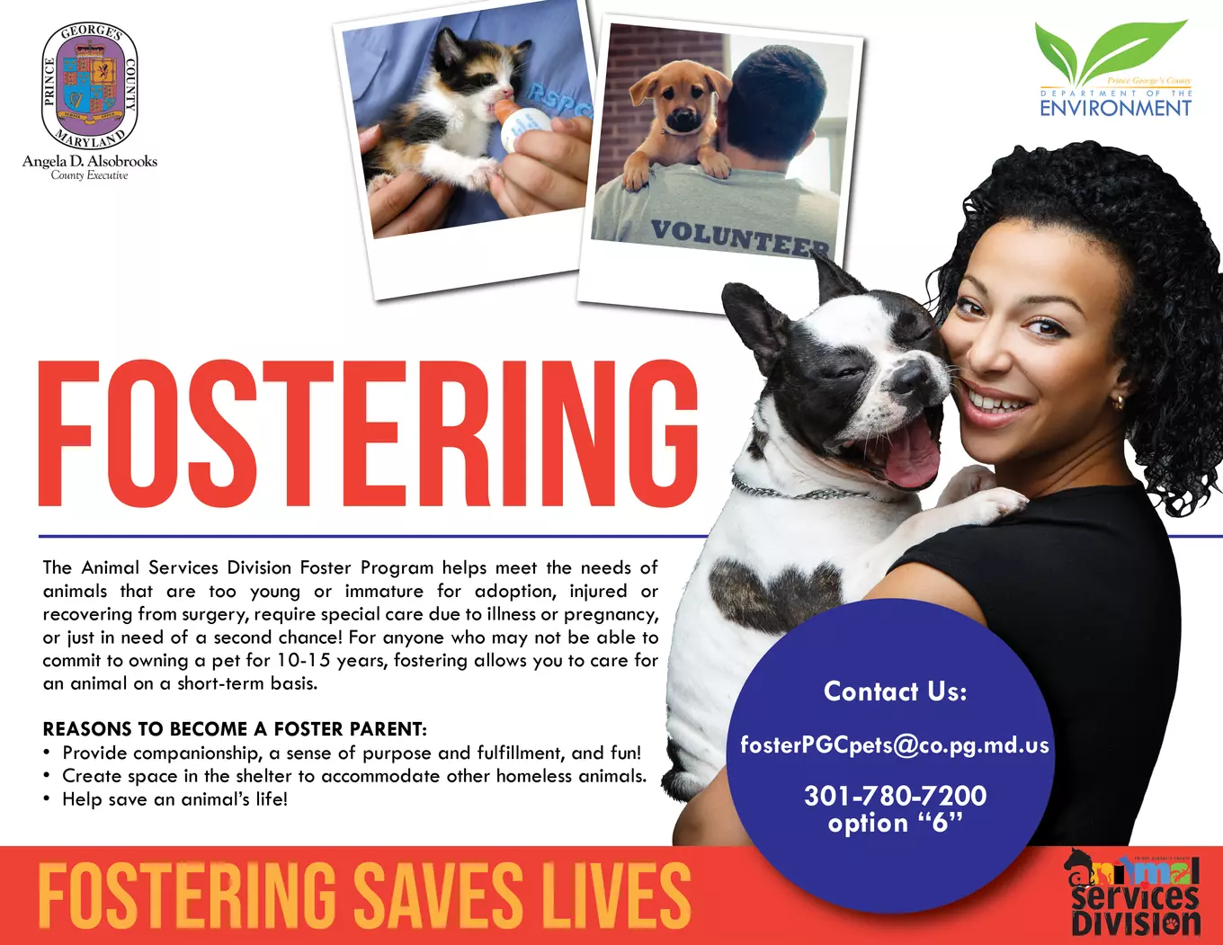 ASD Foster-Orientation-flyer2024