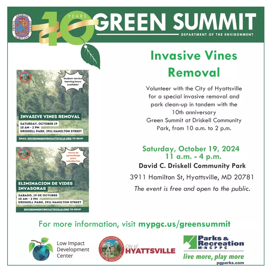 invasive vines removal, green summit