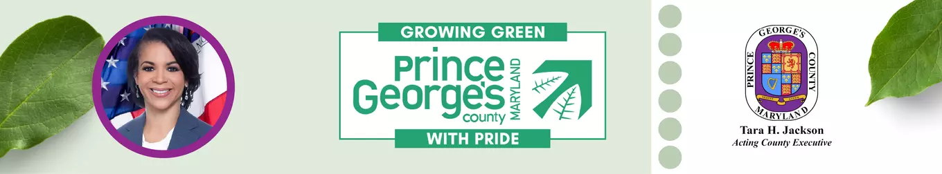 GGWP Spring 2025 Letter Upper Banner