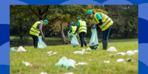 Litter and Mowing Blitz 