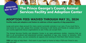 ASD Shelter-Near capacity dogs 5.9.24
