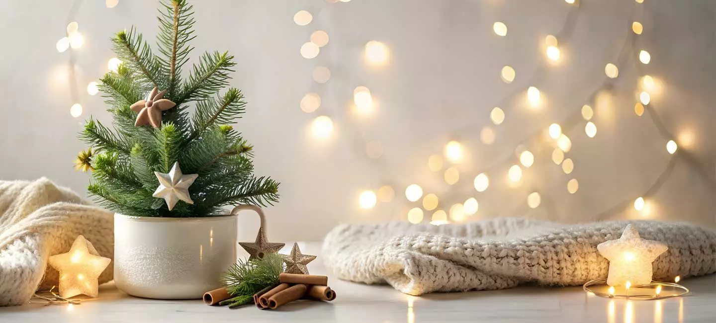 Christmas tree in a mug, Christmas lights, cinnamon sticks, and a blanket all sitting on a table